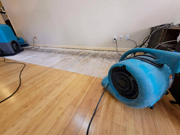 Professional Sewage Cleanup technician working in Custer, MI